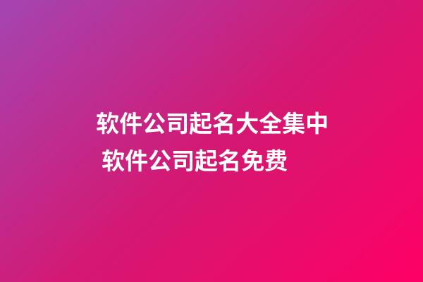 软件公司起名大全集中 软件公司起名免费-第1张-公司起名-玄机派